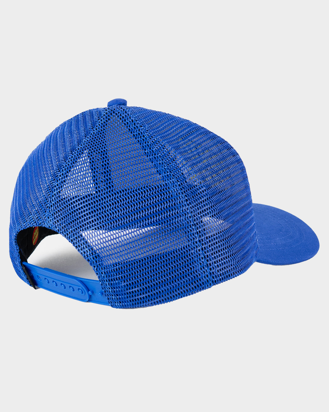 Classic Dot Santa Cruz Boys Trucker Hat Cobalt