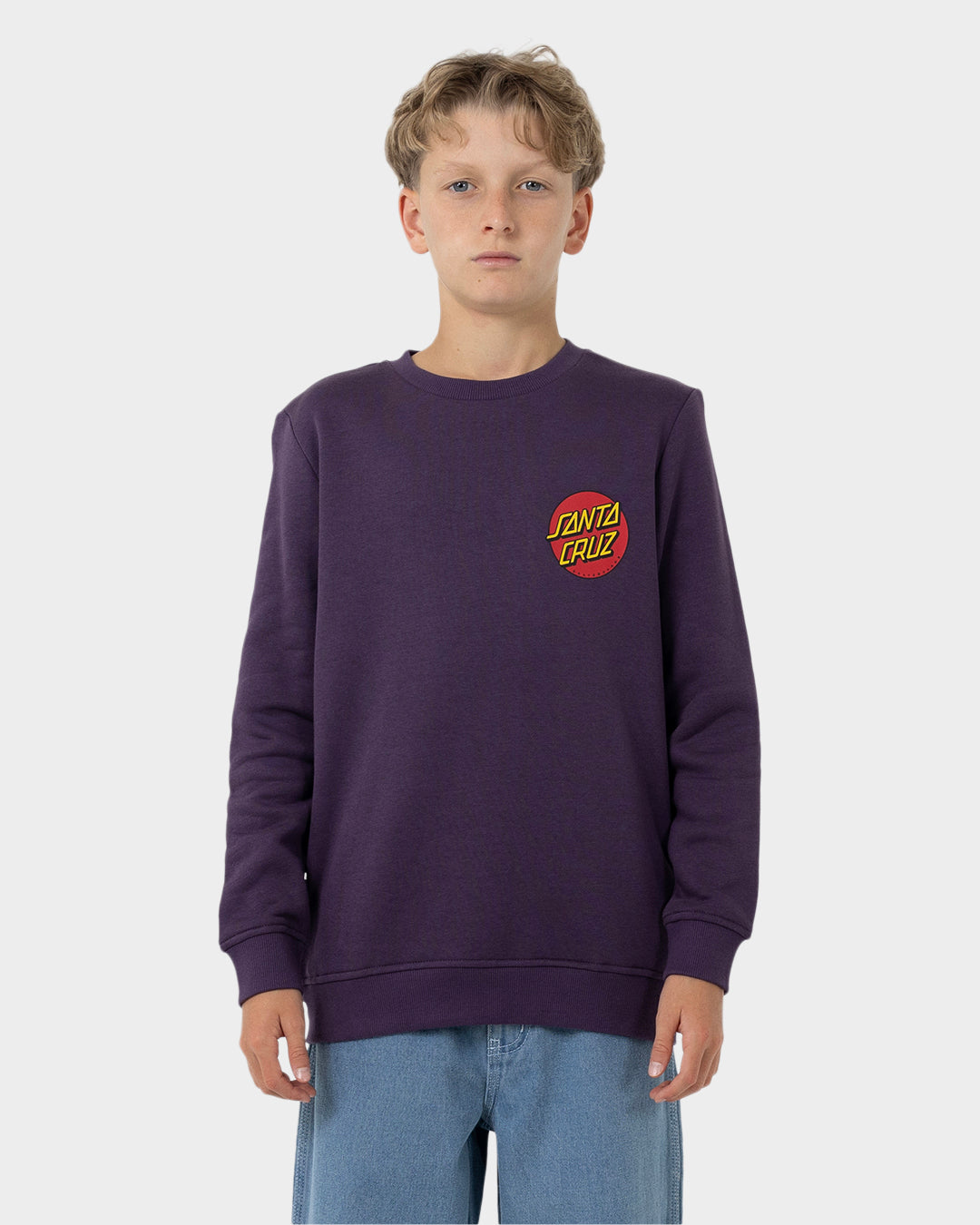Classic Dot Chest Boys Crew Neck Sweater Purple