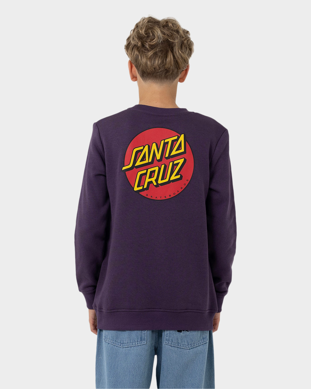 Classic Dot Chest Boys Crew Neck Sweater Purple