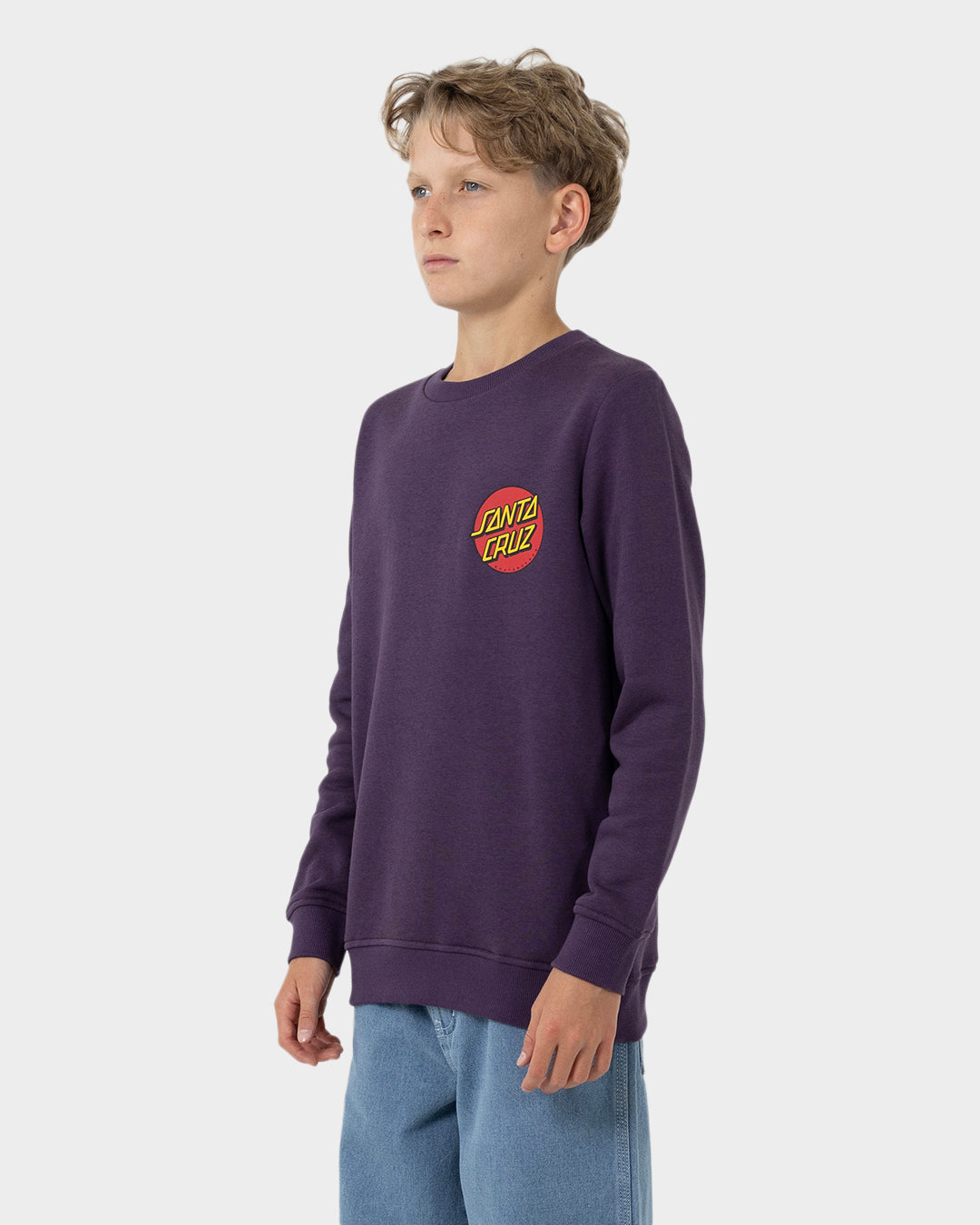 Classic Dot Chest Boys Crew Neck Sweater Purple