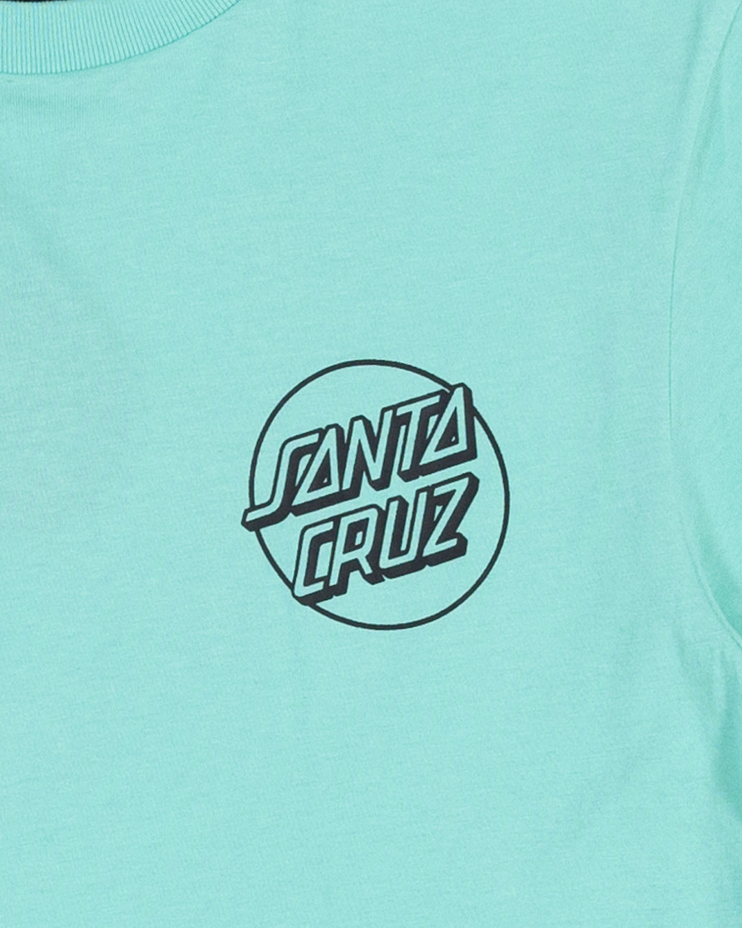 Opus Screaming Hand Santa Cruz Boys T-shirt Teal
