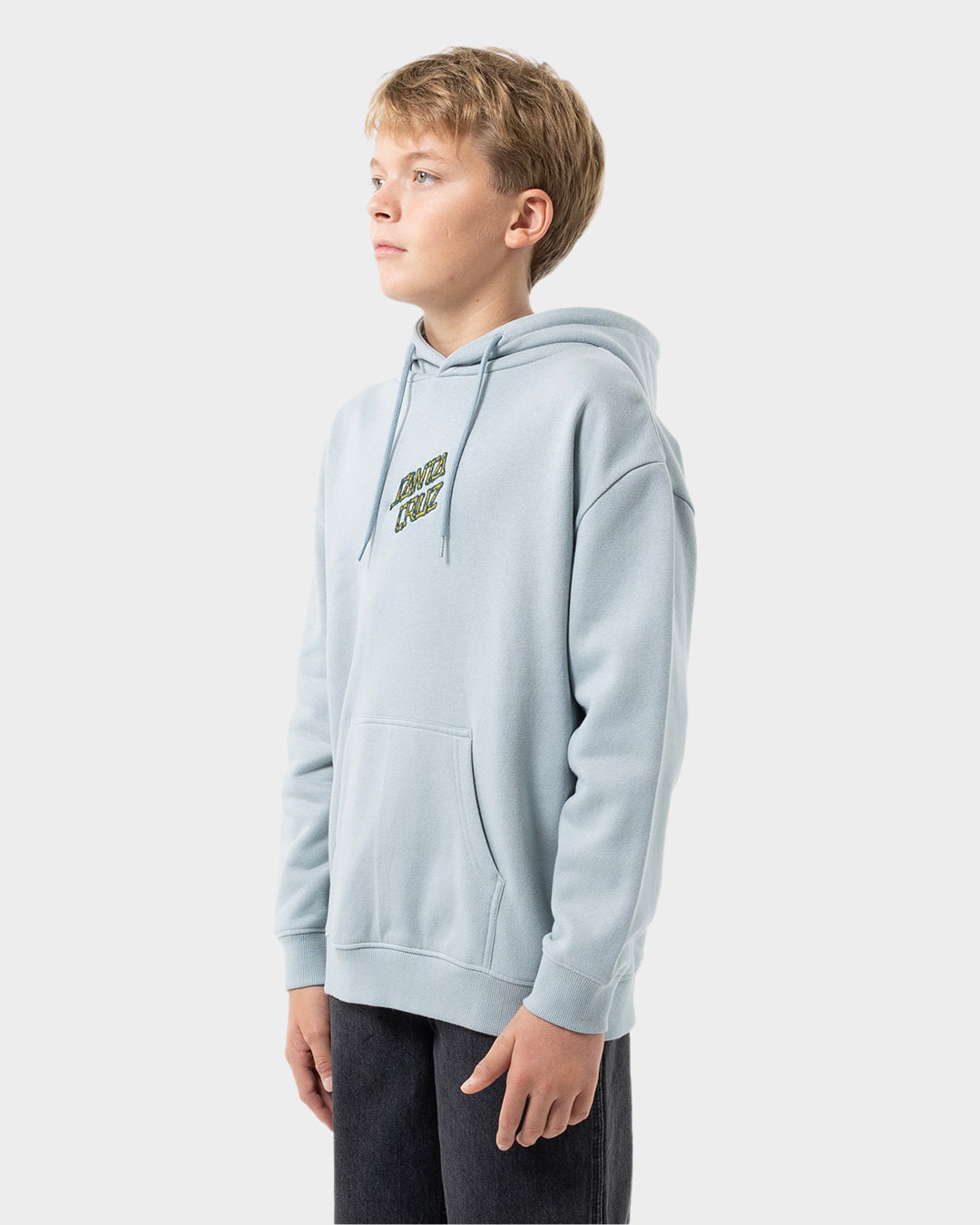 Brain Dot Boys Pullover Hoodie Slate