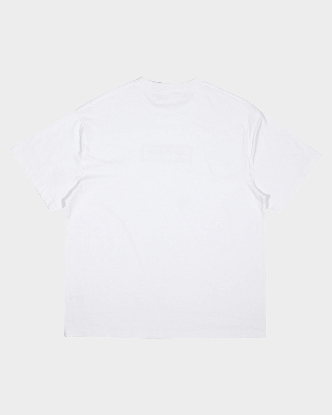 SC Strip Check Box Santa Cruz Men's S/S T-Shirt White