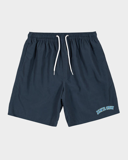 Collegiate Strip Men's Beach Shorts Navy