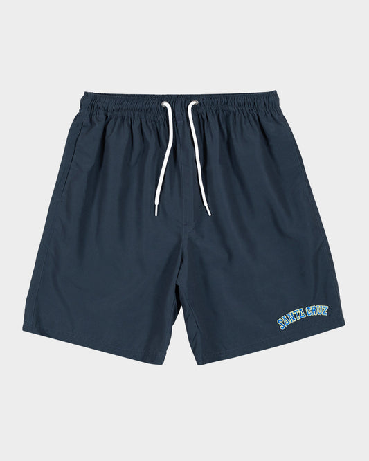 Collegiate Strip Men's Beach Shorts Navy