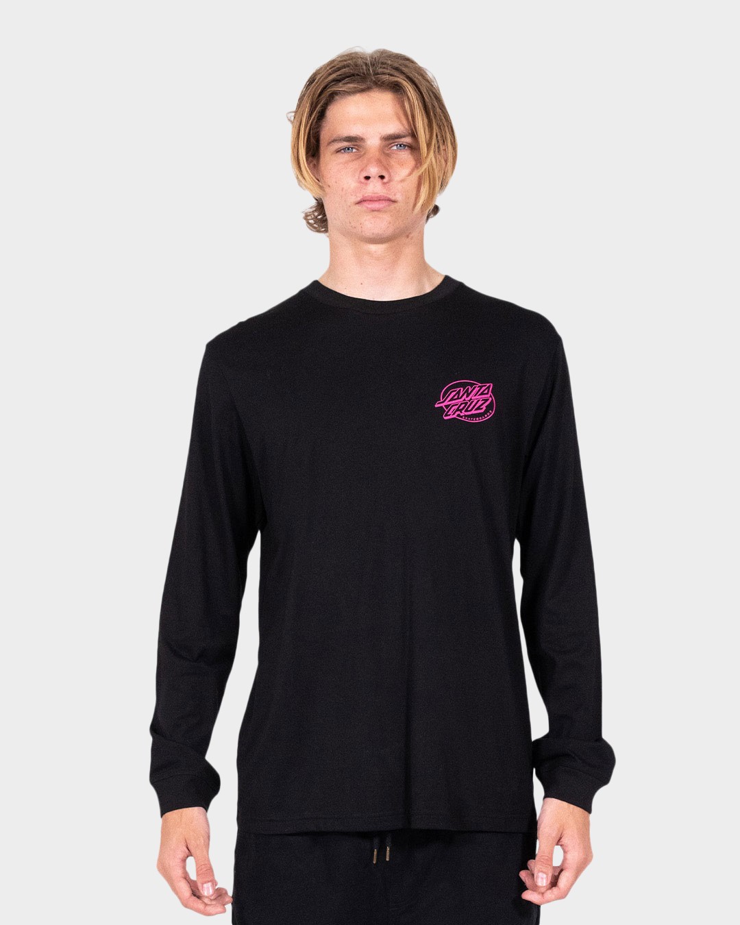 SANTA CRUZ LONG SLEEVE T-SHIRT Tシャツ | hotelelpozo.com